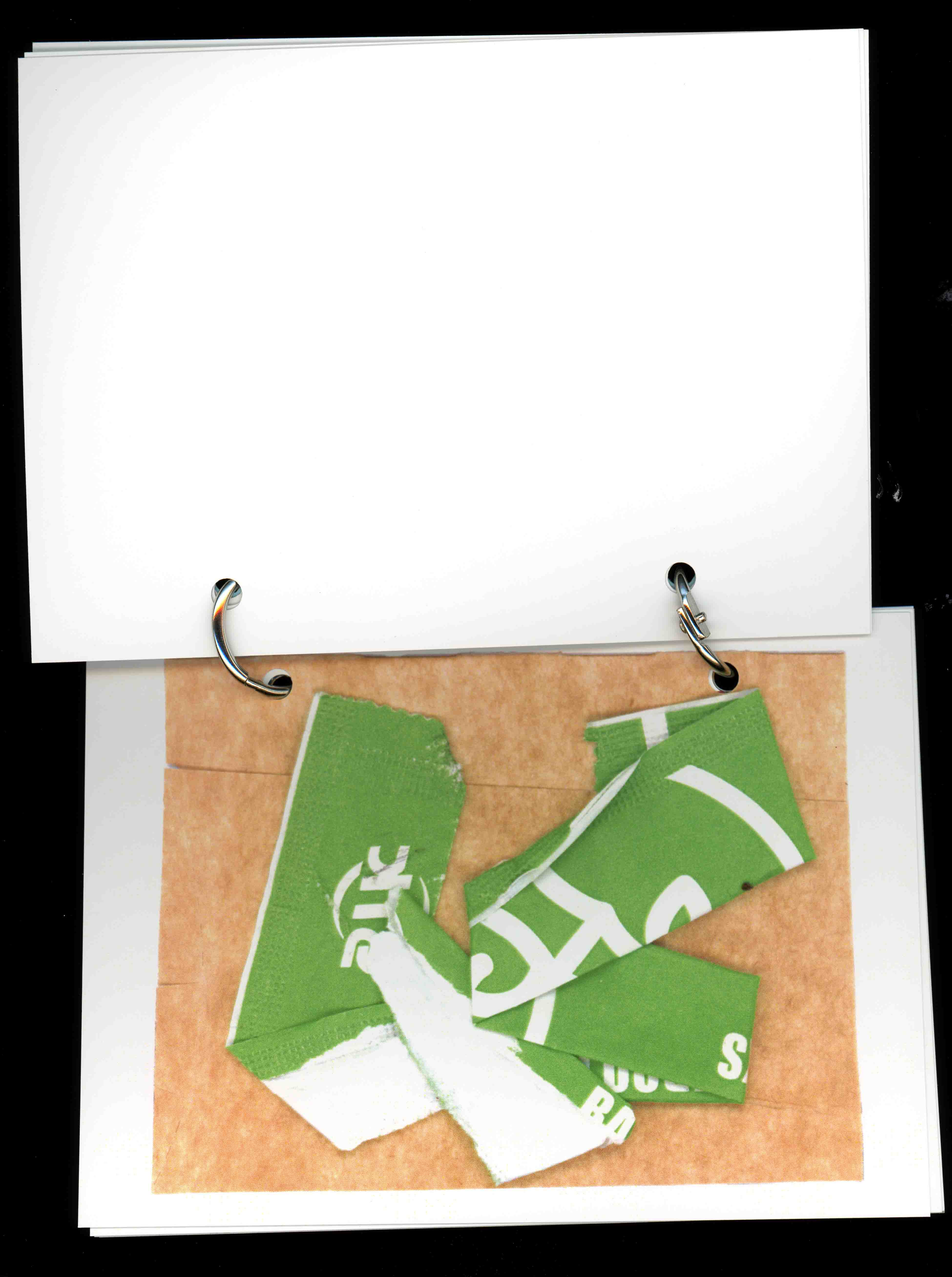 Sydney Assemblages - Supporting Scan