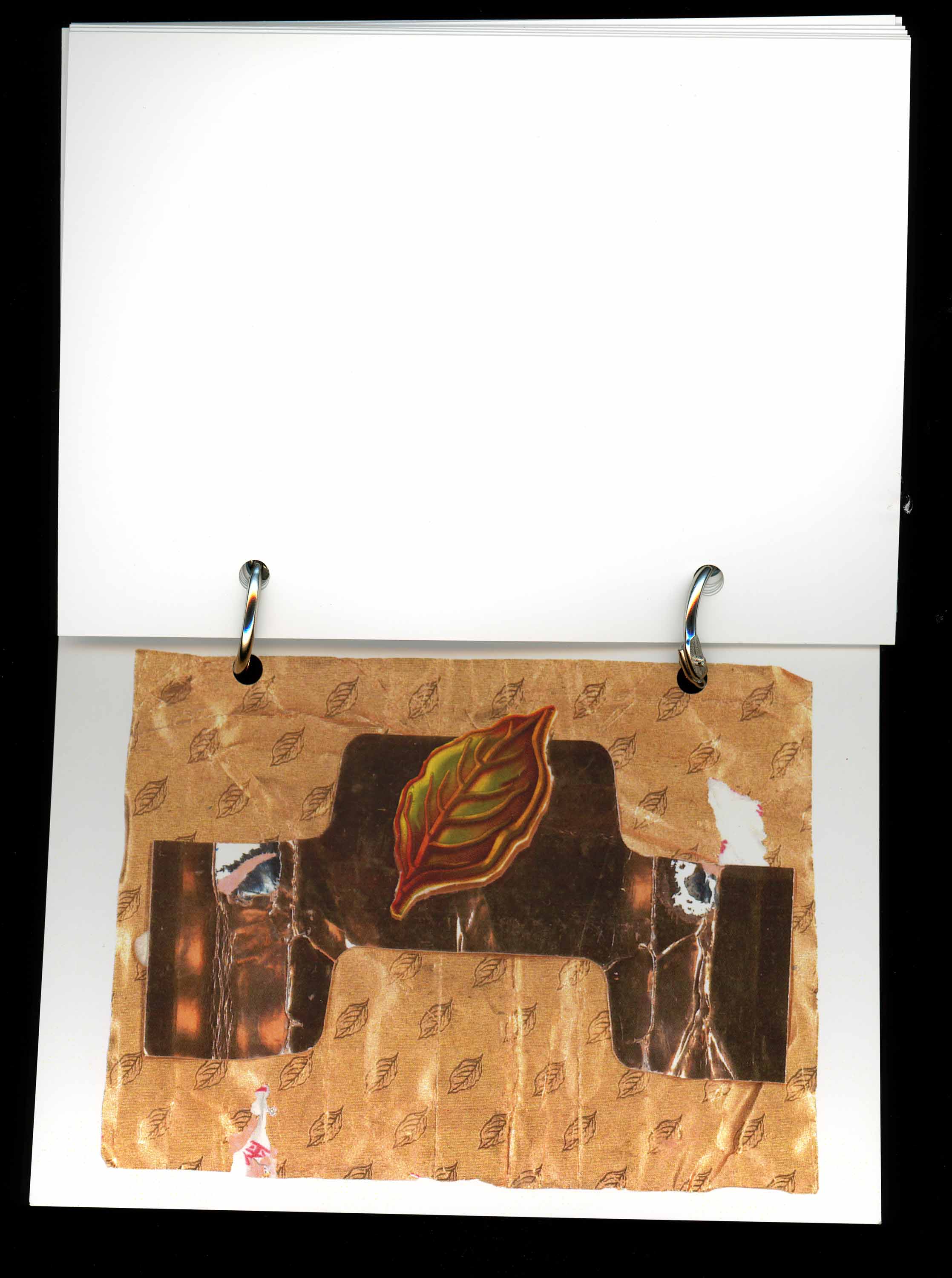 Sydney Assemblages - Supporting Scan