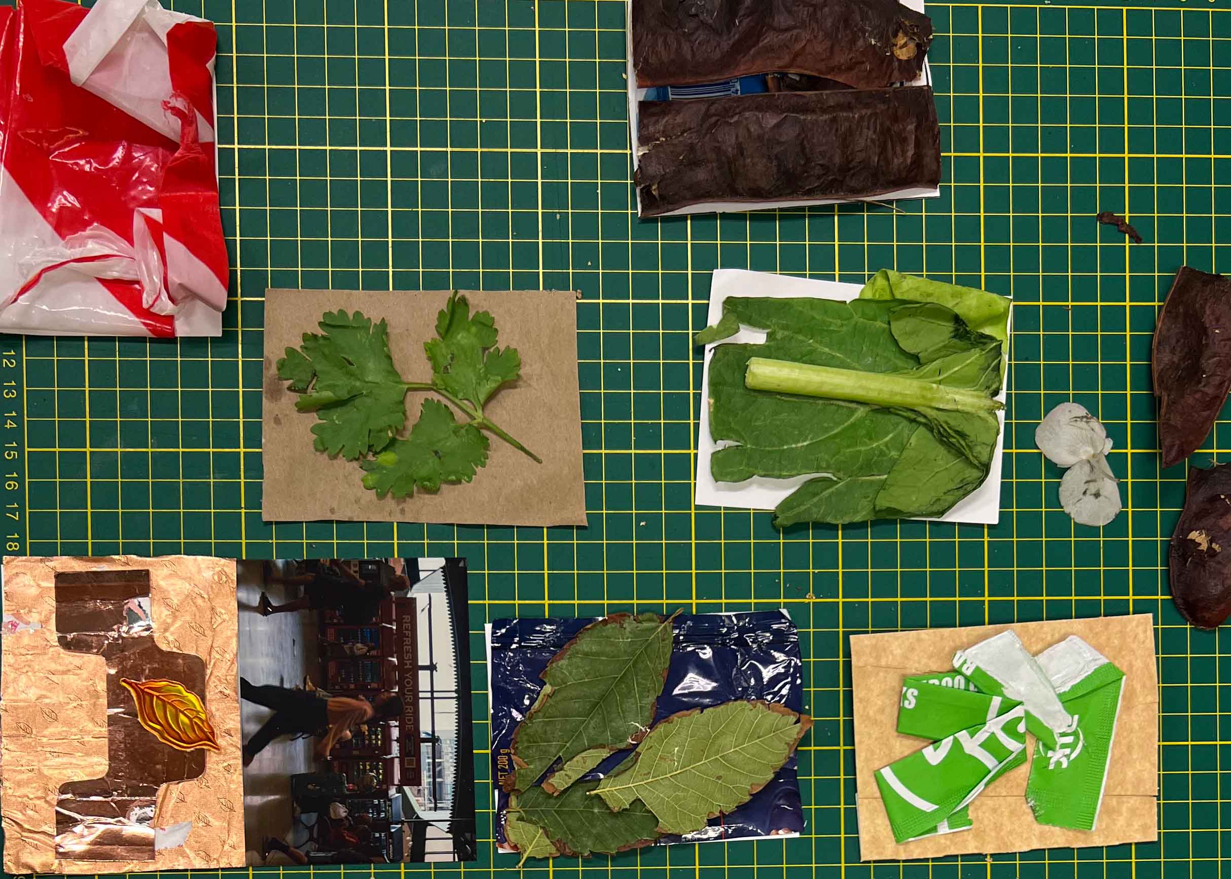 Sydney Assemblages - Process 2